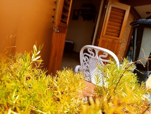 Comfort Room, City View