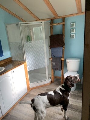 Shower, hair dryer, towels, soap - Private 500 acre ranch riverside cabin and fishing Oldman River. Family and pets (Pincher Creek)