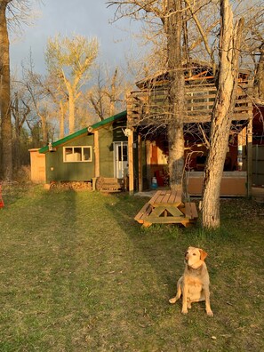 Exterior - Private 500 acre ranch riverside cabin and fishing Oldman River. Family and pets (Pincher Creek)