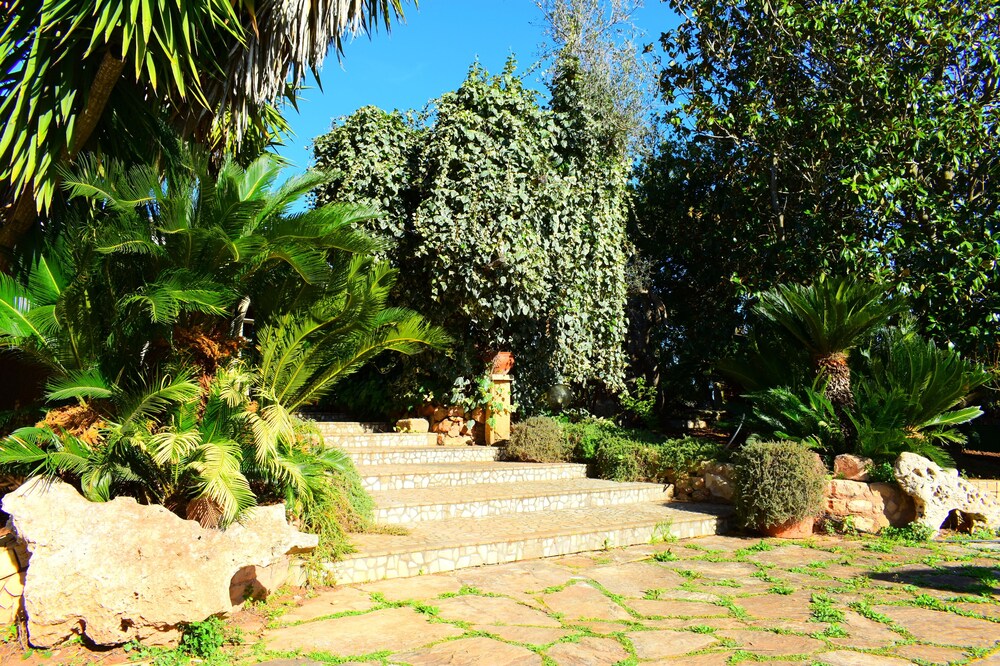 Large villa surrounded by greenery, ideal for groups (Numerous all-inclusive services)