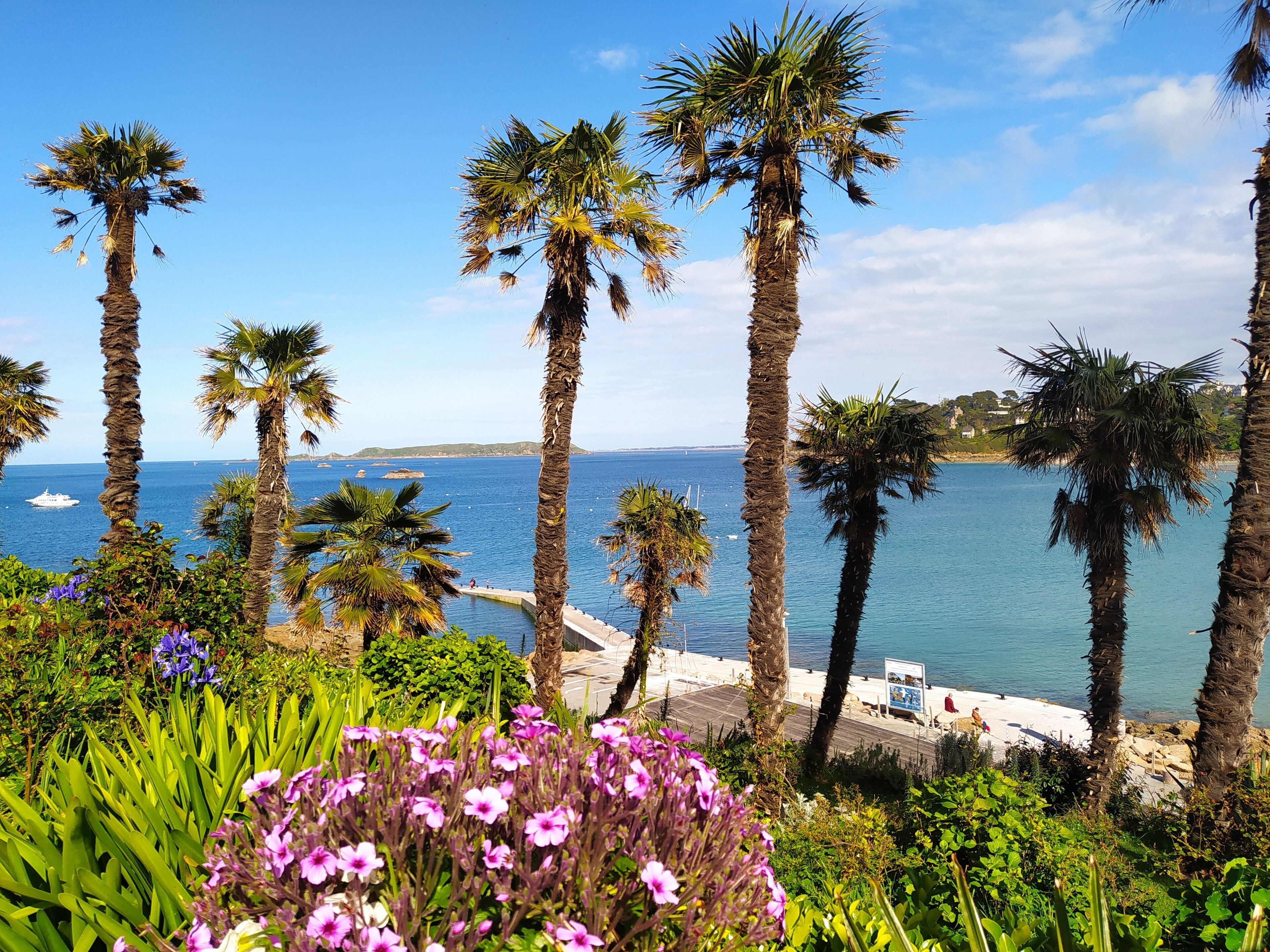 Brittany, Perros-Guirec, Trestraou beach, cocooning apartment