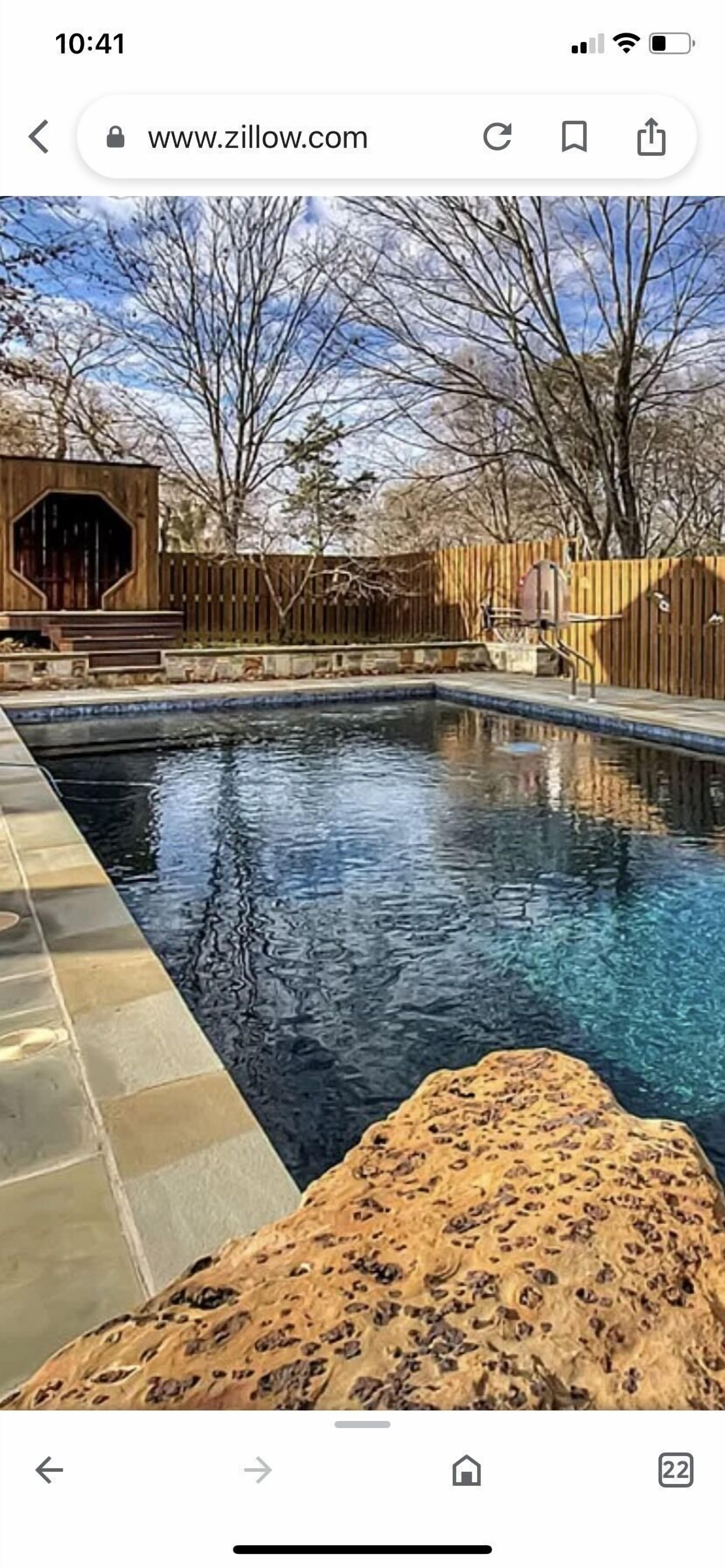 Onsite Pool and Lakeview, historic Dandridge "Bear Hug"