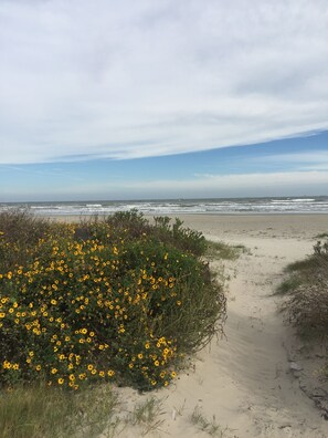 On the beach, sun-loungers, beach towels - Luxury High-End Family Retreat, Elevator, Sleeps 14, 14-Seat Dining Table (Galveston)