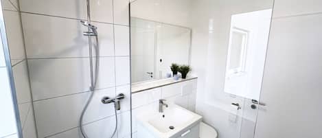 Douche, séchoir à cheveux, serviettes fournies, savon