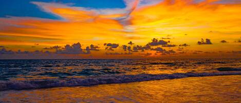 Ein Sonnenuntergang über einem Strand mit Wellen.