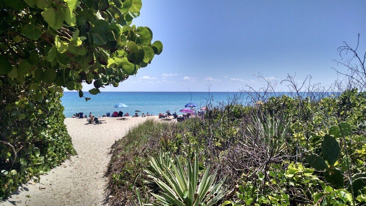 Un sentier bordant la plage, menant à la mer, avec des personnes et des parasols.
