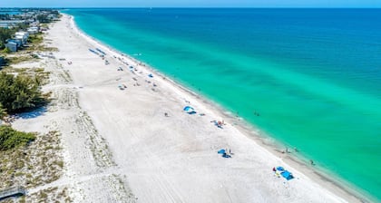 Anna Maria Island Beach Palms 2A