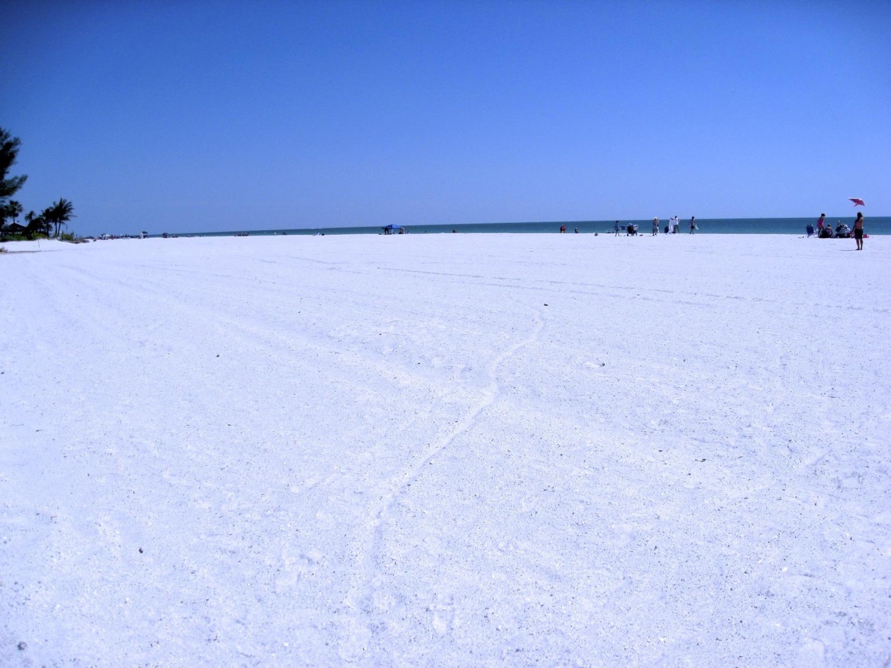 A beach with a clear sky, sandy shore, and a few people in the distance.