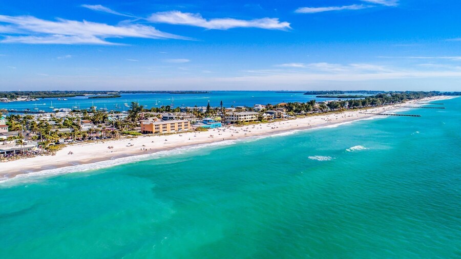 Anna Maria Island Beach Palms 5B