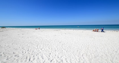 Anna Maria Island Beach Palms 6B