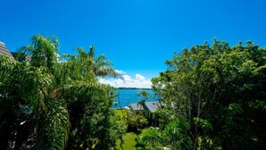 A tropical garden with a view of the ocean.