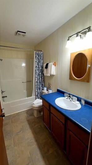A bathroom with a shower, toilet, sink, and mirror. - Slainte - Cottage located near Downtown La Pointe (La Pointe)