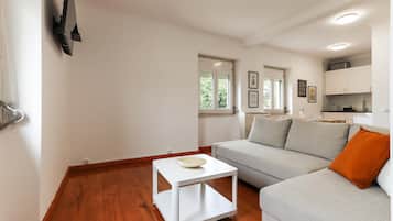 Apartment | 1 bedroom, iron/ironing board, WiFi