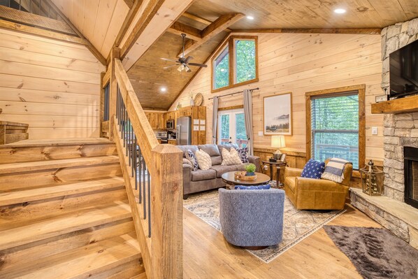 Smart TV, fireplace, books, music library