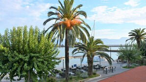 Vista costera con una palmera, zona de estar al aire libre y cielo despejado.