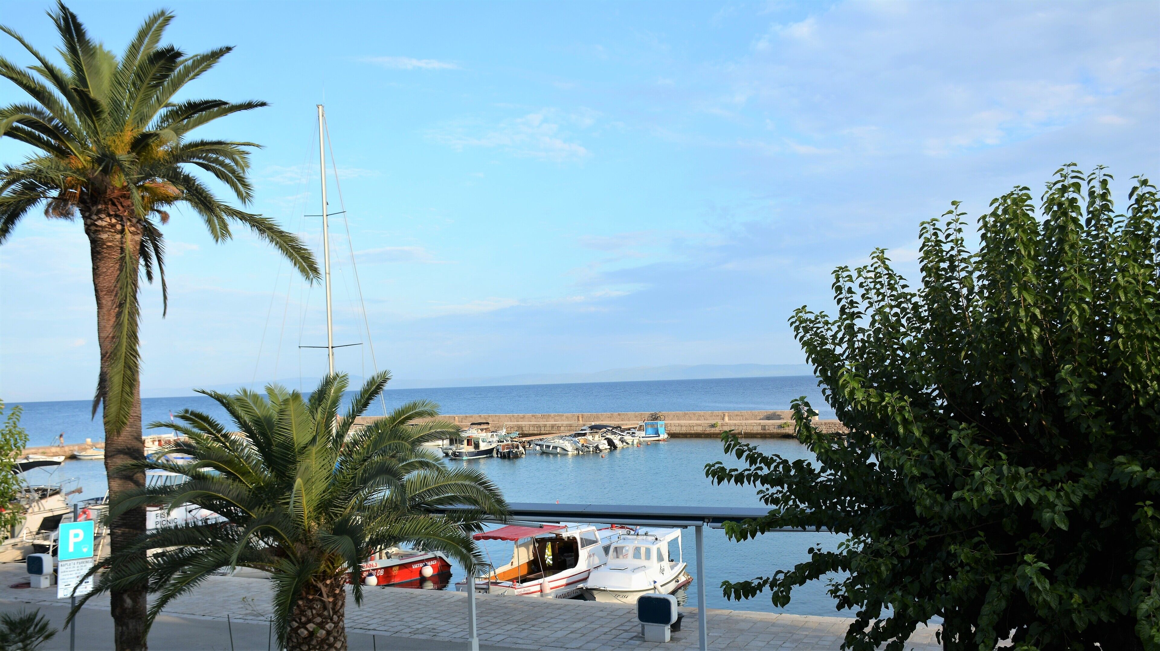 A marina with boats docked, a palm tree, and a clear view of the sea.
