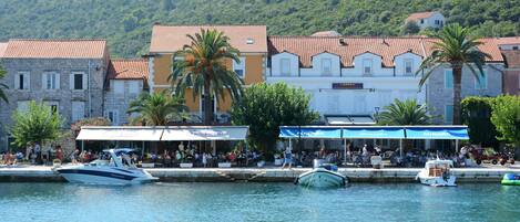 A waterfront area with buildings, a dock with boats, and a crowd of people.