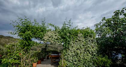 Apartments & Rooms Green Bay - Double Room with Balcony and Sea View (Room 2)