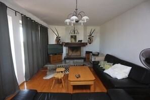 TV, fireplace