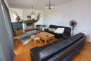 Televisión y chimenea 