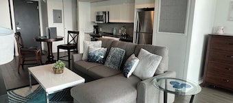 Executive Luxury 2 bed Spacious Downtown WIFI laundry 