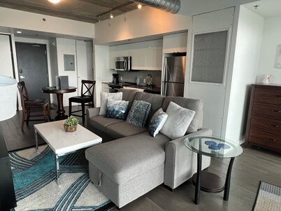 Executive Luxury 2 bed Spacious Downtown WIFI laundry 