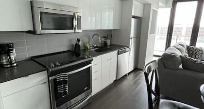 Executive Luxury 2 bed Spacious Downtown WIFI laundry