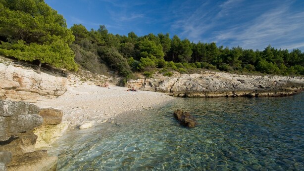 A rocky shoreline with clear water, trees, and a few people. - Villa Frida - Apartment Fran with Terrace (Premantura)