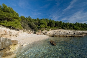 A rocky shoreline with clear water, trees, and a few people.