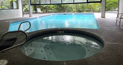 Modern Downtown Bellevue Condo Free Parking