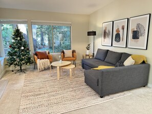 TV, fireplace, toys, books