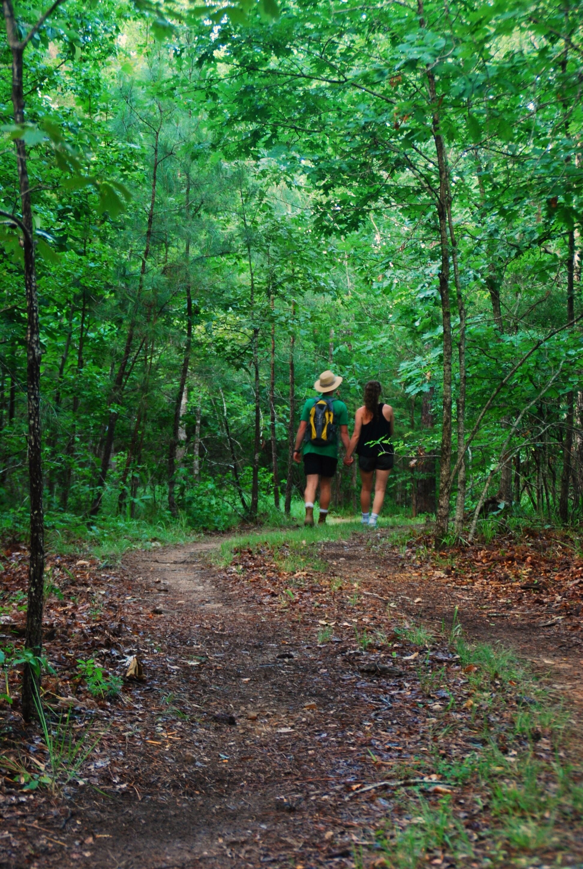 Un sendero en un bosque con dos personas caminando alejándose.