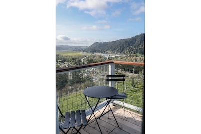Remodeled barn with spectacular Views near redwoods and coast!