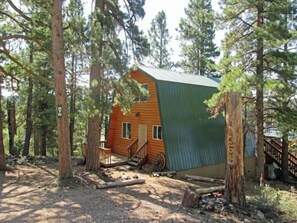 Exterior - New! Cozy Bear Cabin - Fully Remodeled (Duck Creek Village)