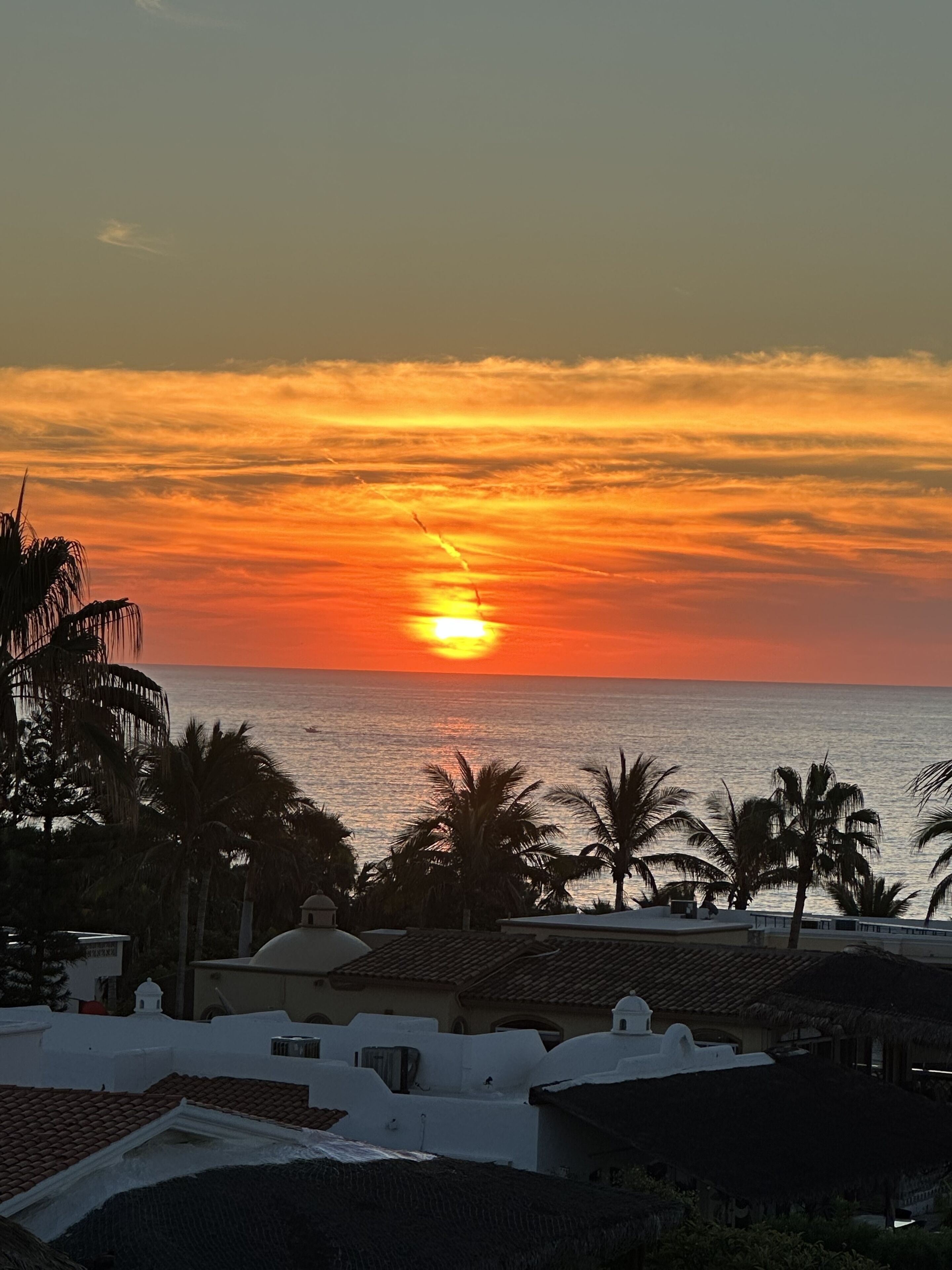 A sunset over a coastal area with palm trees and buildings with white walls and red-tiled roofs.
