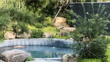 Hot springs