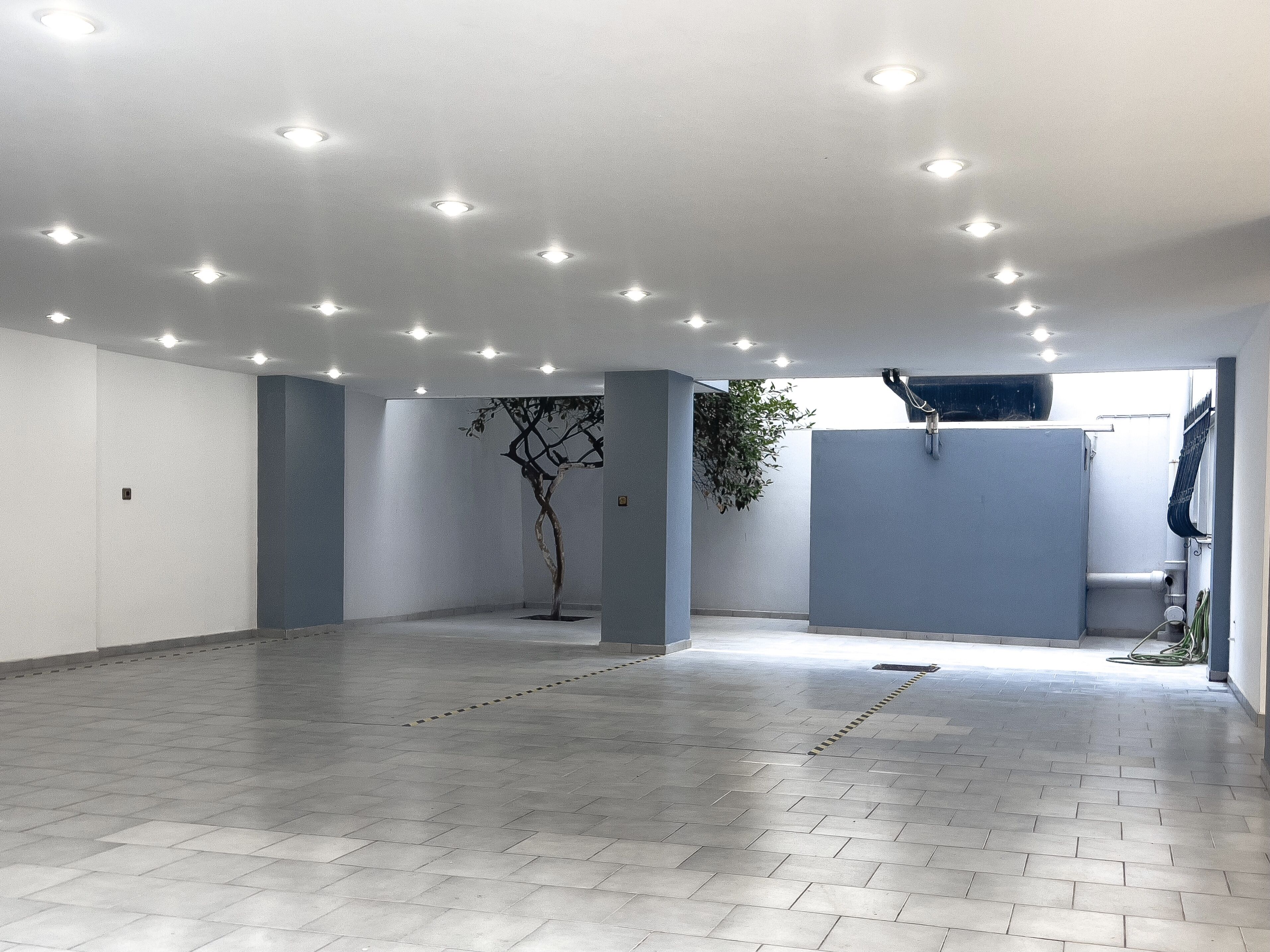 A spacious, well-lit indoor area with a tiled floor, a tree sculpture, and a blue wall.