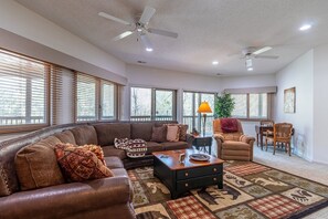 Smart TV, fireplace, books