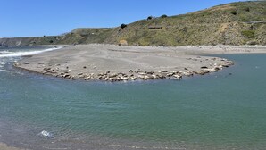 A coastal landscape with a sandy beach, calm sea, and a hilly backdrop.