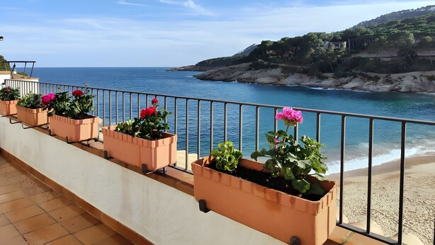 Un balcon agrémenté de plantes en pot et offrant une vue sur la mer.