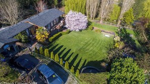 Luchtbeeld van een woonhuis met een verzorgd gazon, een grote boom met witte bloesems en een huis met een schuin dak.