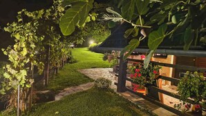 A nighttime garden with a stone pathway, grapevines, and potted plants.