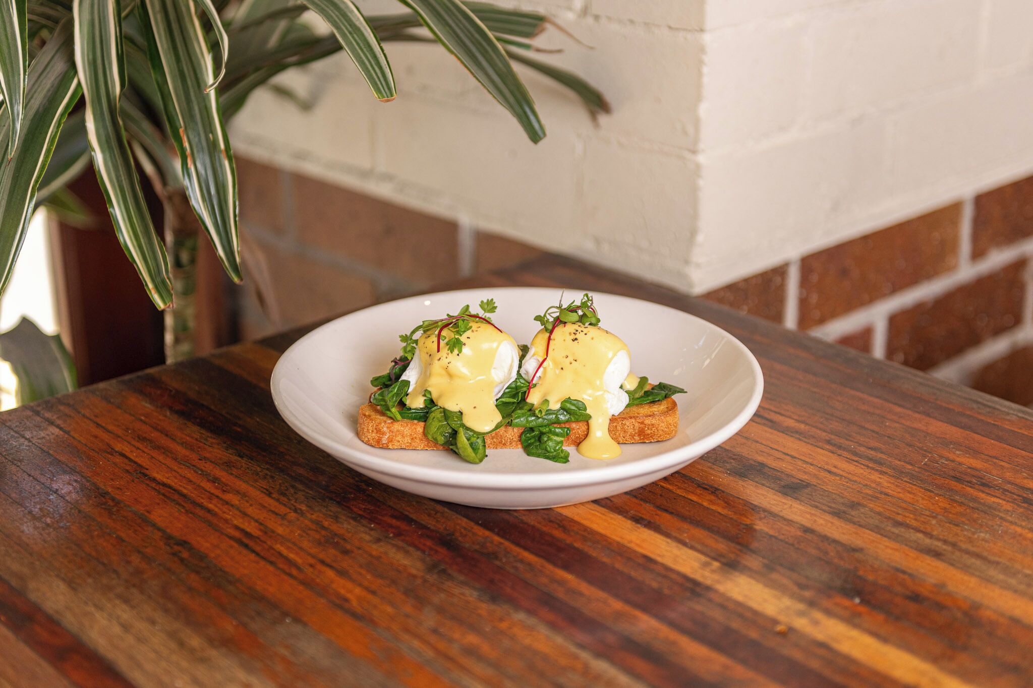 Foto - Roamer Brisbane