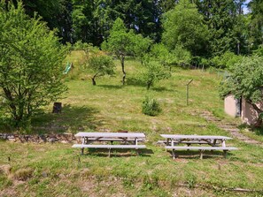 Pianta, Panchina, Comunita 'Impianto, Albero, Botanica, Vegetazione, Paesaggio Naturale, Mobili Da Esterno, Erba, Groundcover