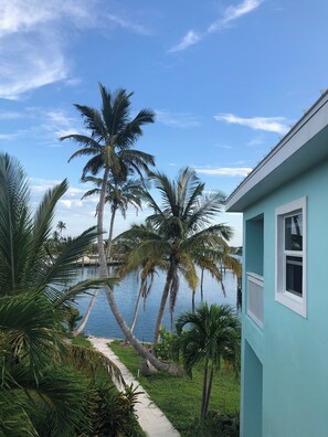 Property grounds - Canal Front Private Home in Treasure Cay, Bahamas With Dock (Treasure Cay)