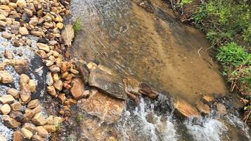 A small stream flowing over rocks in a wooded area.