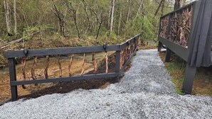 A gravel pathway leading to a wooden bridge with a metal railing, surrounded by trees and a forested area. - Lazy Bear Retreat by the Creek  (Pickens)