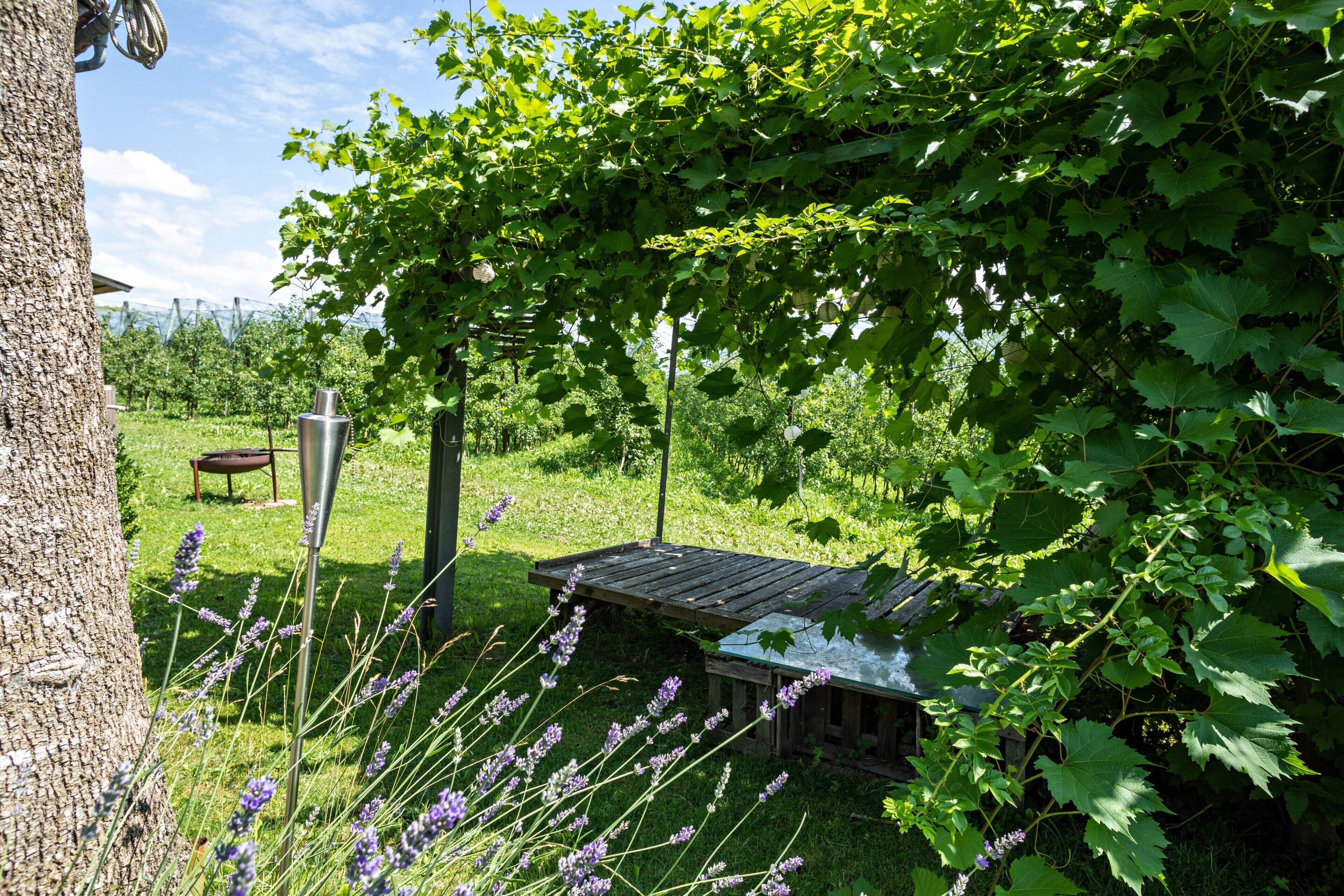 A rustic outdoor area with a wooden structure, a metal stand, and a tree.