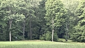 A well-maintained grassy area with a flagpole, surrounded by dense trees.