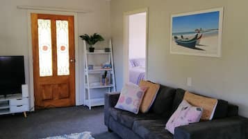 Smart TV, fireplace, books
